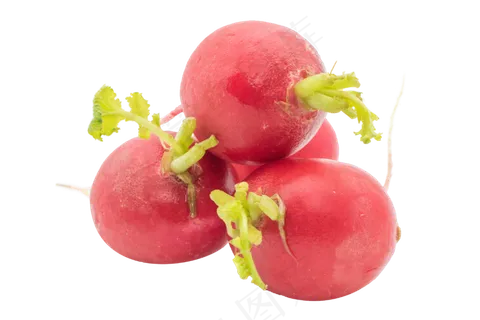 红色水萝卜,免抠元素
