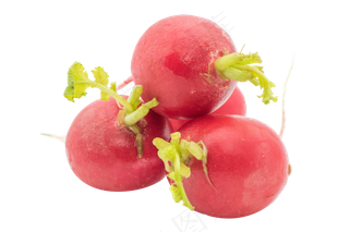 红色水萝卜,免抠元素
