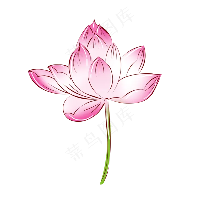 植物荷花莲花(2000X2000(DPI:300))psd模版下载