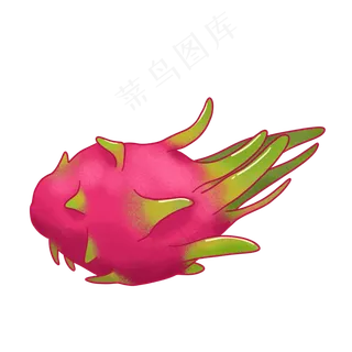 手绘新鲜的火龙果PNG免抠素材