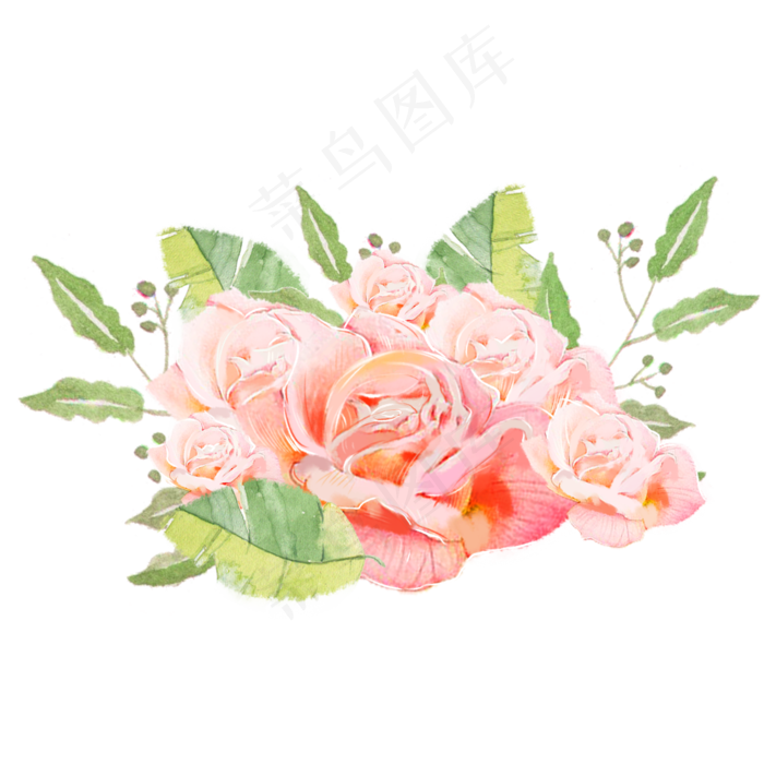 水彩鲜花淡雅玫瑰素材(2000X2000(DPI:300))psd模版下载