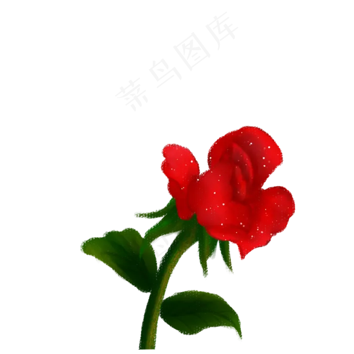 一朵花瓣凋落的红玫瑰免扣图(2000X2000(DPI:300))psd模版下载
