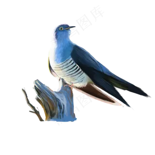 古典中国风花鸟鸽子矢量图,免抠元素