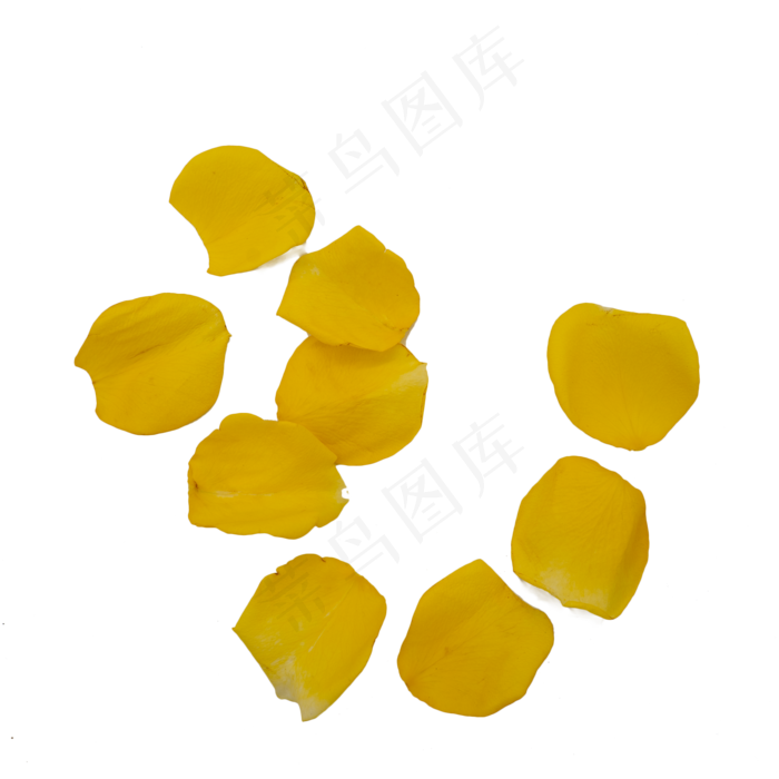 黄色玫瑰花瓣