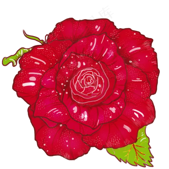 手绘红玫瑰花透明底花朵素材元素(1024X1024(DPI:300))psd模版下载