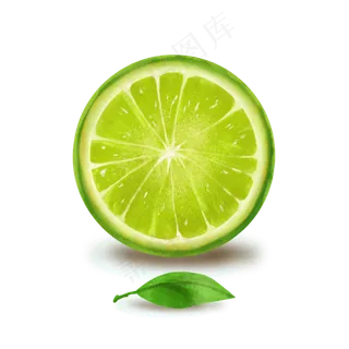 夏季青柠水果矢量图