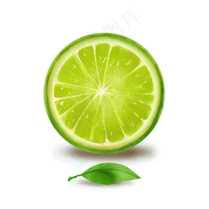 夏季青柠水果矢量图