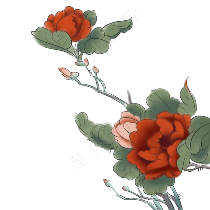 中国风大红富贵水彩手绘装饰花(2000X2000(DPI:300))psd模版下载