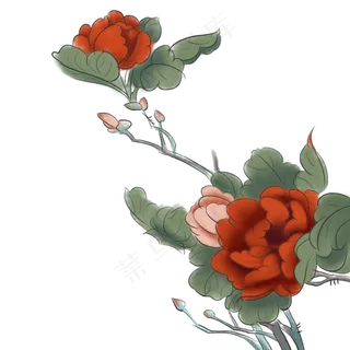中国风大红富贵水彩手绘装饰花