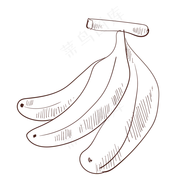 线描水果三根香蕉(2000*2000px 300 dpi )ai矢量模版下载