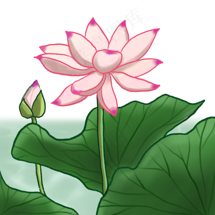 荷花春夏荷塘景色水墨