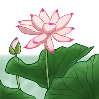 荷花春夏荷塘景色水墨