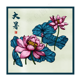 大暑荷花荷叶莲花植物夏日夏天夏