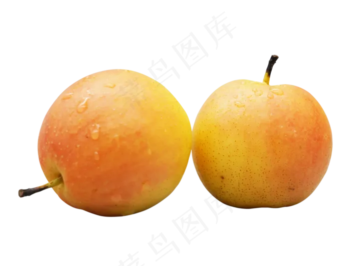 香梨梨子水果(3957*3000px 300 dpi )