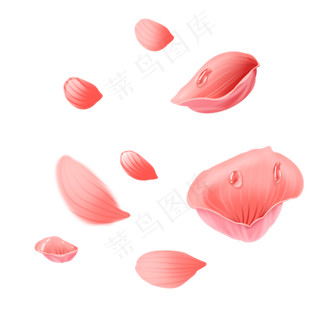 水滴散落玫瑰花瓣