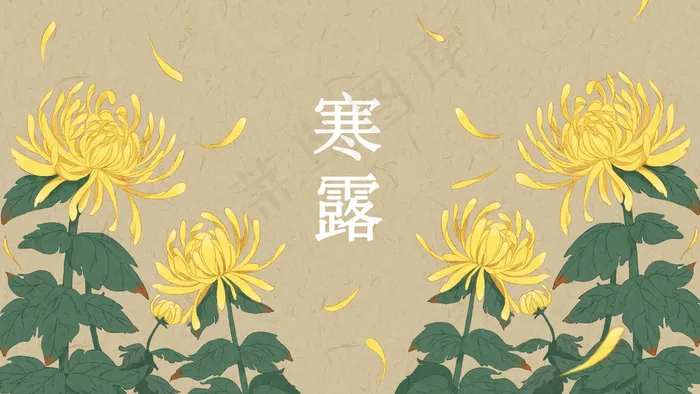 寒露节气秋菊意境花卉(2880X1620(DPI:300))psd模版下载