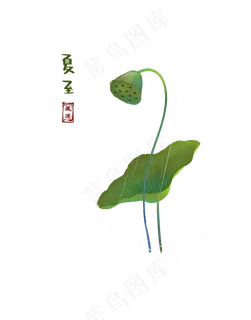 二十四节气夏至