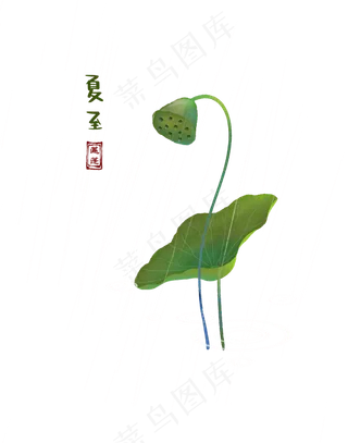 二十四节气夏至