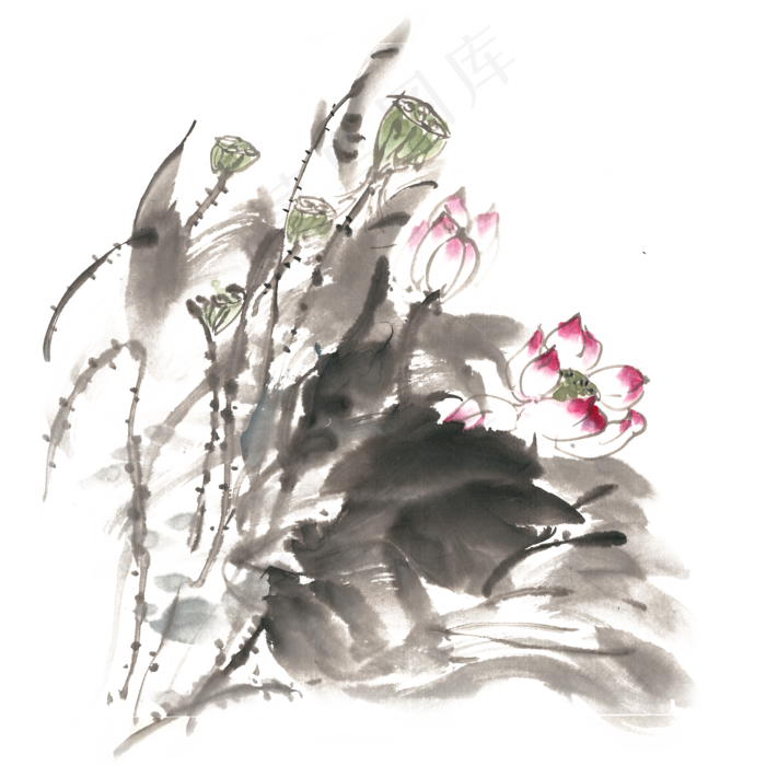 盛开的荷花水墨画PNG免抠素材(4724X4724(DPI:300))psd模版下载