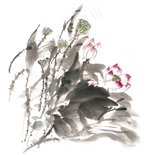 盛开的荷花水墨画PNG免抠素材