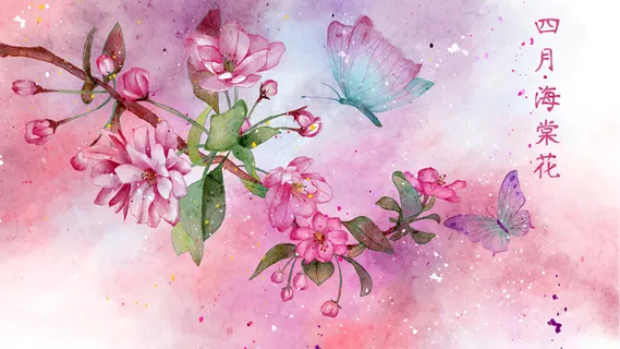 水彩花鸟画十二月花信之四月海棠花 水彩花鸟画十二月花信之四月海棠花