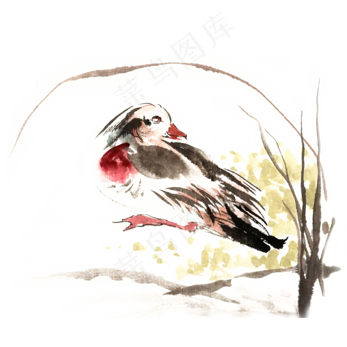 草丛休憩的鸳鸯,免抠元素(4724X4724(DPI:300))psd模版下载