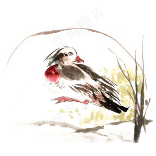 草丛休憩的鸳鸯,免抠元素