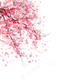 粉色少女心樱花树,免抠元素