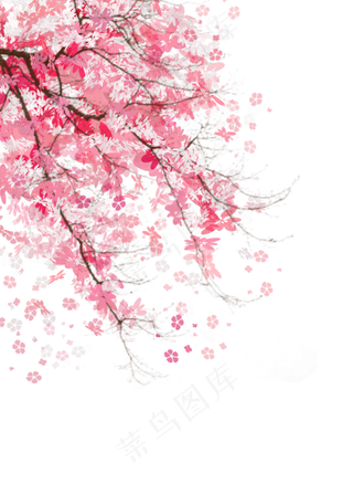 粉色少女心樱花树,免抠元素