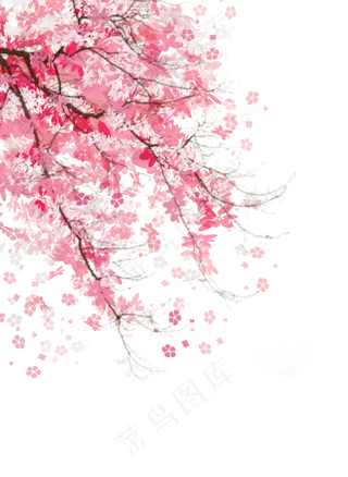 粉色少女心樱花树,免抠元素