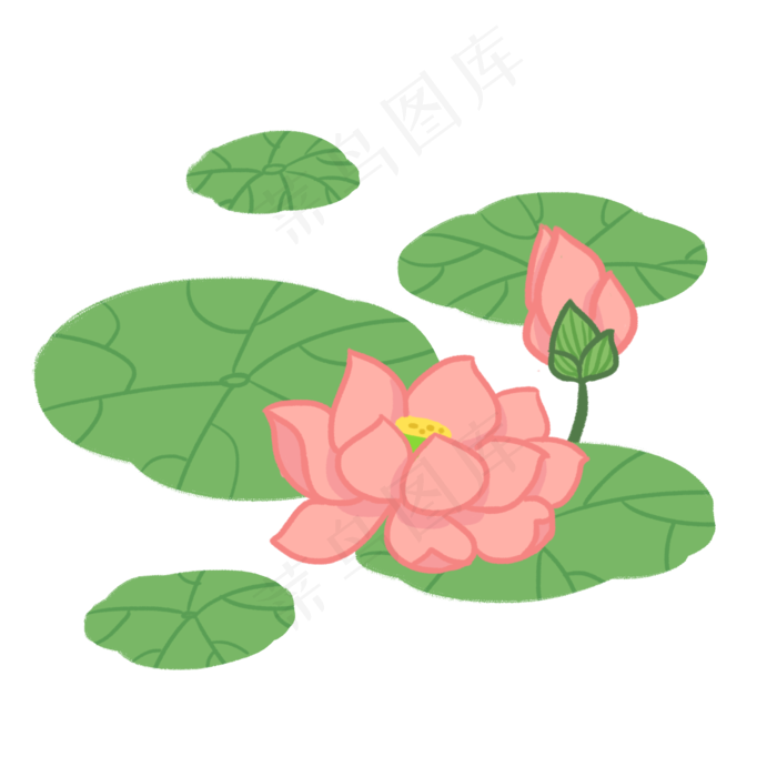 夏荷植物花卉插画