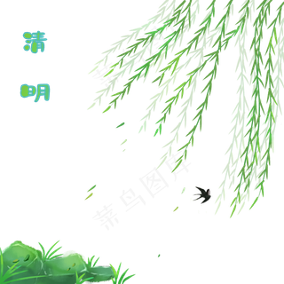 春天清明节柳树柳枝