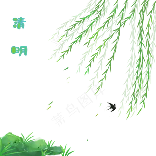 春天清明节柳树柳枝