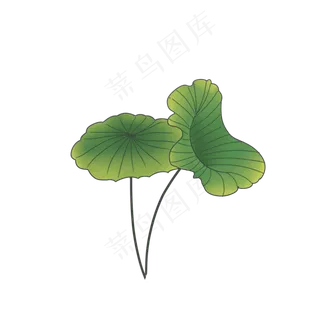 古典中国风荷叶