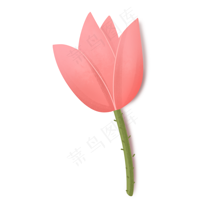 粉红色手绘夏季荷花