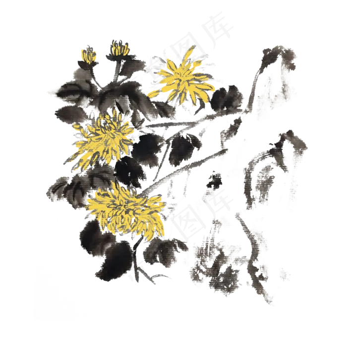 水墨菊花手绘素材(4000X4000(DPI:300))psd模版下载