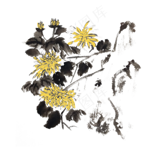 水墨菊花手绘素材