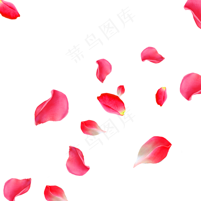 漂浮花瓣,免抠元素(2000*2000px 300 dpi )psd模版下载