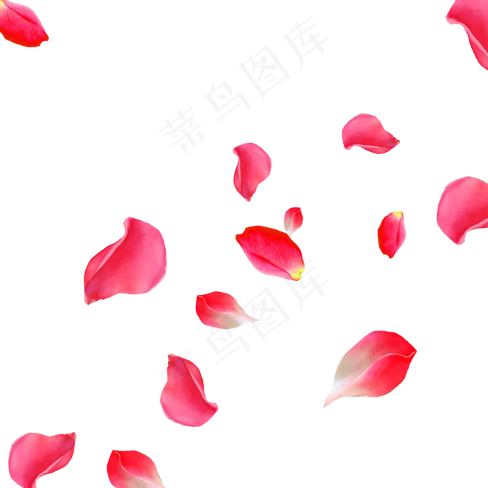 漂浮花瓣,免抠元素(2000*2000px 300 dpi )psd模版下载