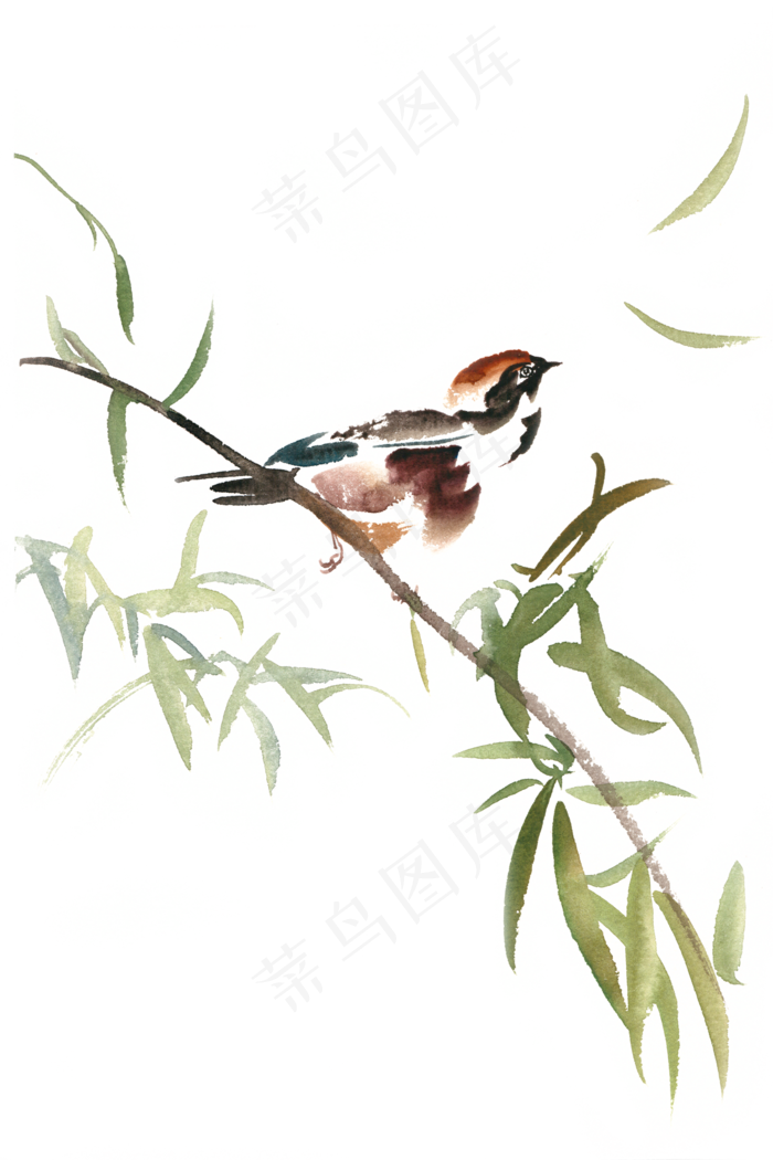 张望的小鸟水彩画PNG免抠素材