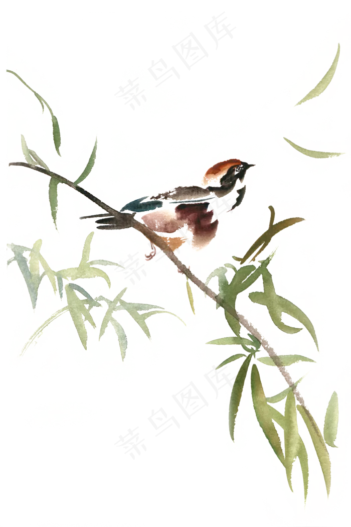张望的小鸟水彩画PNG免抠素材(4724*7087px 300 dpi )psd模版下载