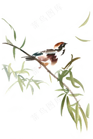 张望的小鸟水彩画PNG免抠素材