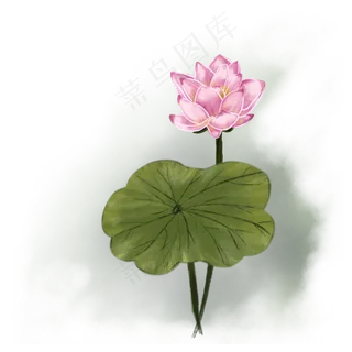 水墨古风手绘花国画荷花荷叶可商