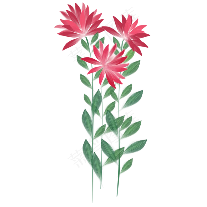 红色花卉(2048X2048(DPI:132))psd模版下载