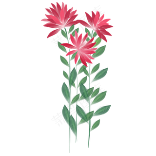 红色花卉