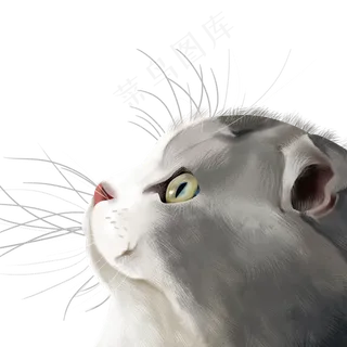 可爱灰色猫咪装饰元素,免抠元素