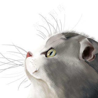 可爱灰色猫咪装饰元素,免抠元素