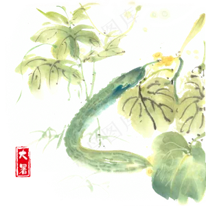 大暑夏季黄瓜