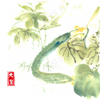 大暑夏季黄瓜