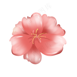 粉色花朵花卉手绘装饰图案,免抠元素